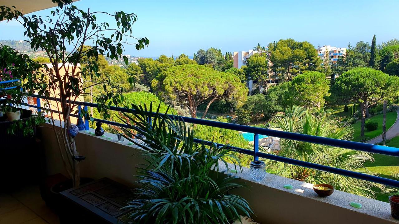 Beau T1 Piscine Tennis Cannes